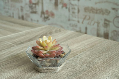 Close-up of potted plant on table