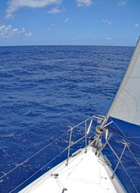 Sailboat sailing in sea against sky