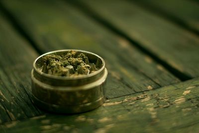 Close-up of marijuana plant in container