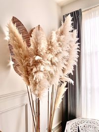 Close-up of feather on table