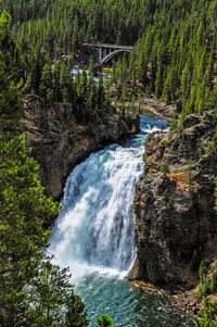 Scenic view of waterfall in forest