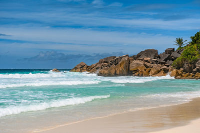 Idyllic tropical beach with sea waves and green palm trees on sunny day in summer.