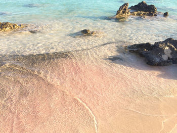 Scenic view of beach