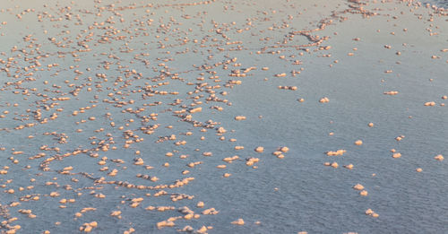 High angle view of paper on sand