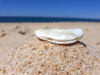 Close-up of rock on beach