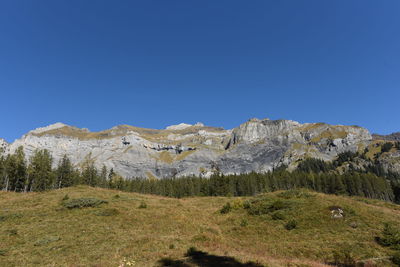 Scenic view of landscape against clear blue sky