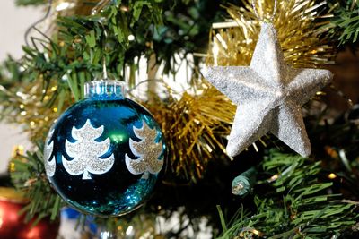 Close-up of christmas decoration hanging on tree