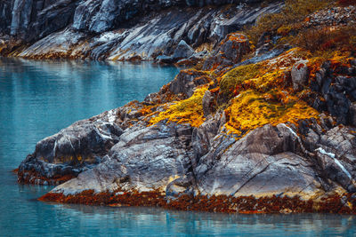 Glacier views at glacier bay nationalpark, alaska.