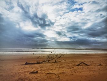 Scenic view of beach against cloudy sky