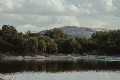 Scenic view of lake by trees against sky