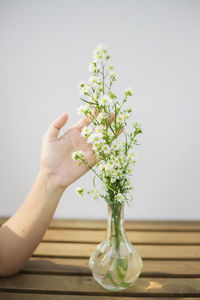 Midsection of woman holding flower vase on table