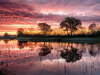 Reflection of trees in lake against sky during sunset