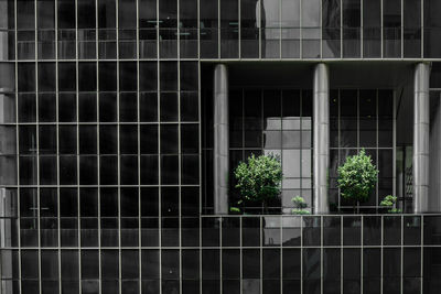 Reflection of building on window