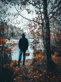 Rear view of man standing by trees in forest