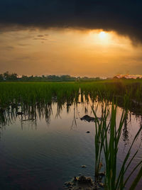 Scenic view of lake against sky during sunset