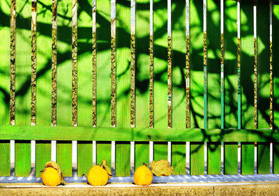 Close-up of metal grate