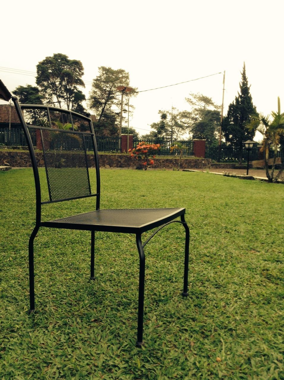 grass, tree, field, grassy, green color, bench, absence, clear sky, empty, growth, tranquility, nature, park - man made space, tranquil scene, lawn, landscape, fence, day, chair, sky