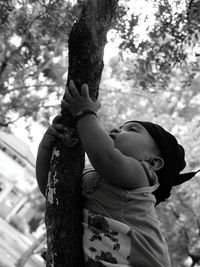 Portrait of boy on tree trunk against plants