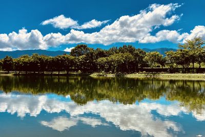 reflection