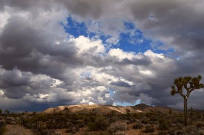 Scenic view of field against cloudy sky