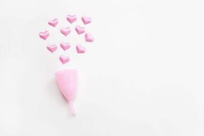 High angle view of pink petals on white background