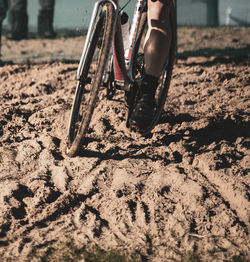 Low section of person standing on mud