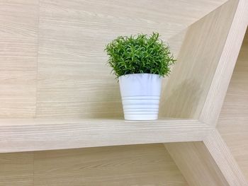 Potted plant in shelf at home