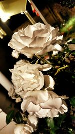 Close-up of rose