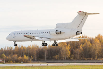 Passenger airplane landing at sunny day on runway, autumn forest on background. vacation, aviation