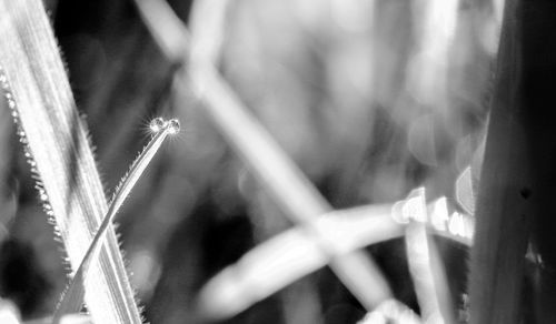 Close up of sunlight