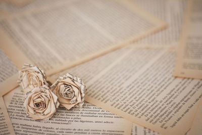 High angle view of rose on book