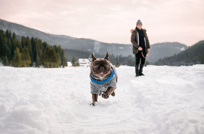 Rear view of dog on snowy land