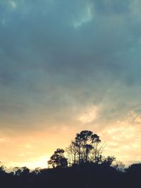 Low angle view of silhouette trees against sky during sunset