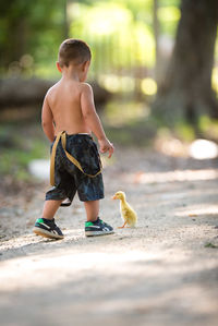 Rear view full length of shirtless boy standing by duckling on road