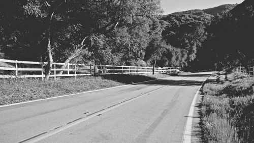 Empty road along trees