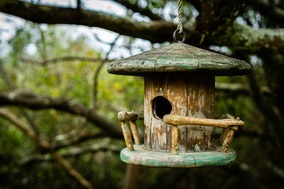 Close-up of old rusty metal hanging on tree in forest