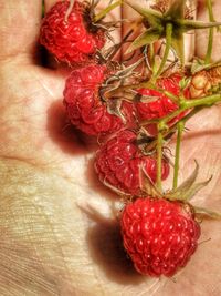 Close-up of strawberries