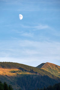 Scenic view of landscape against blue sky