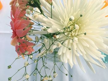 Low angle view of flower tree against sky