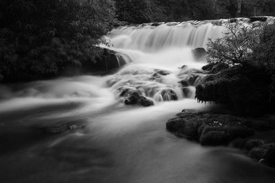 Scenic view of waterfall in forest