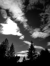 Low angle view of silhouette trees against sky