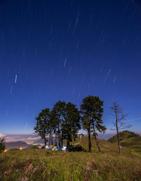 Trees on field against sky at night