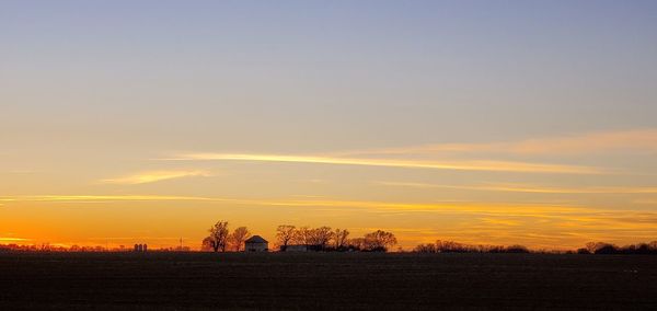 Silhouette trees on field against sky during sunset