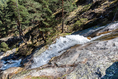 Scenic view of stream flowing through rocks in forest