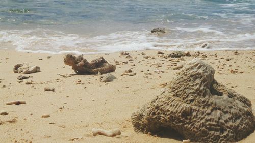 View of waves on beach