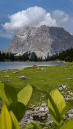 Seebensee, zugspitze