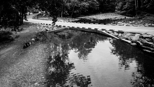 Reflection of trees in water