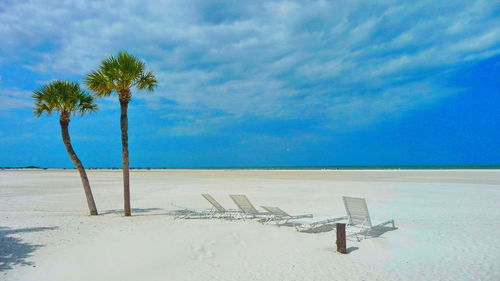 Palm trees on beach against blue sky