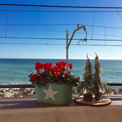 Plants growing by sea against sky