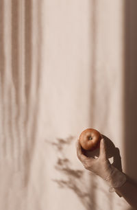 Female hand in transparent disposable glove holding apple above beige background in sunlight 